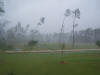 Katrina -storm 053x.jpg (24354 bytes)